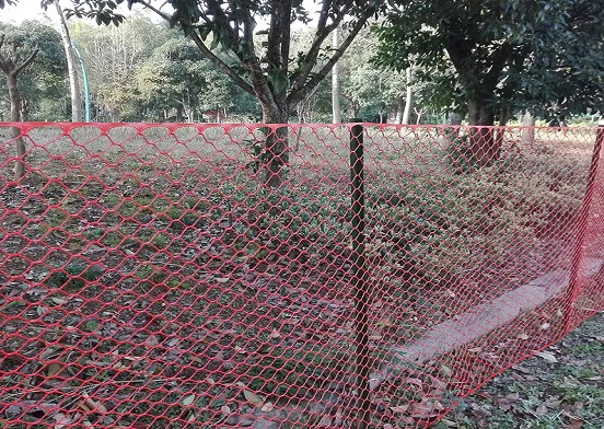 পোল্ট্রি খামারীদের জন্য প্লাস্টিকের পোল্ট্রি জাল কি আদর্শ সমাধান?